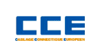 Audit & Conseil informatique : Câblage Connectique Européen